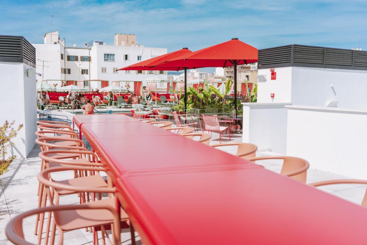 The Boc - Auberge de jeunesse